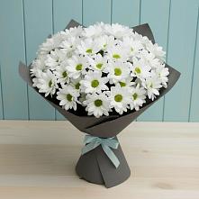 Букет цветов из:  Хризантемы #REPLACE_PRED# Тимошкино