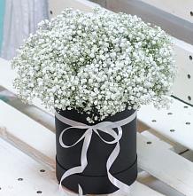 Цветочная композиция из Гипсофила в шляпной коробке #REPLACE_PRED# Тимошкино